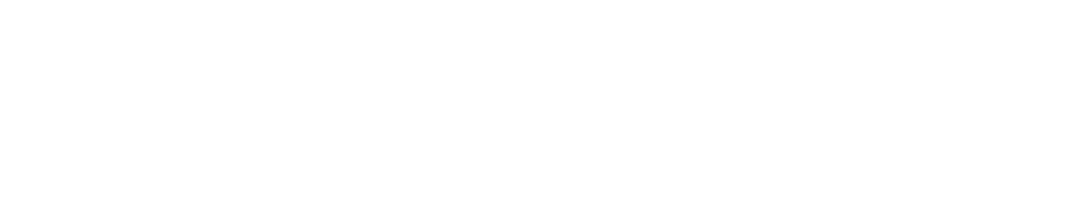 TerraSegura Logo