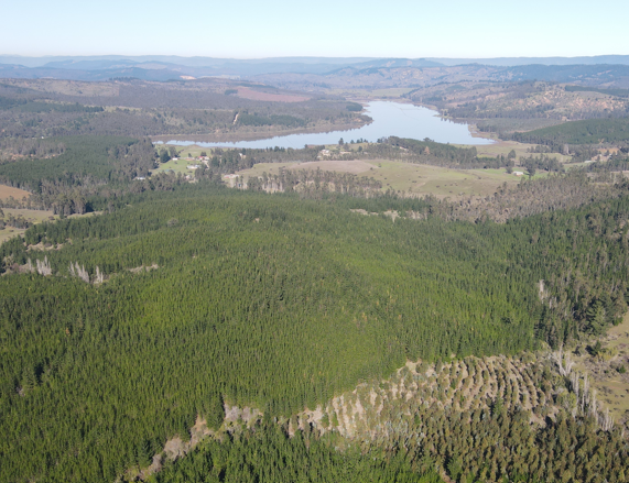 Valle Bucalemu