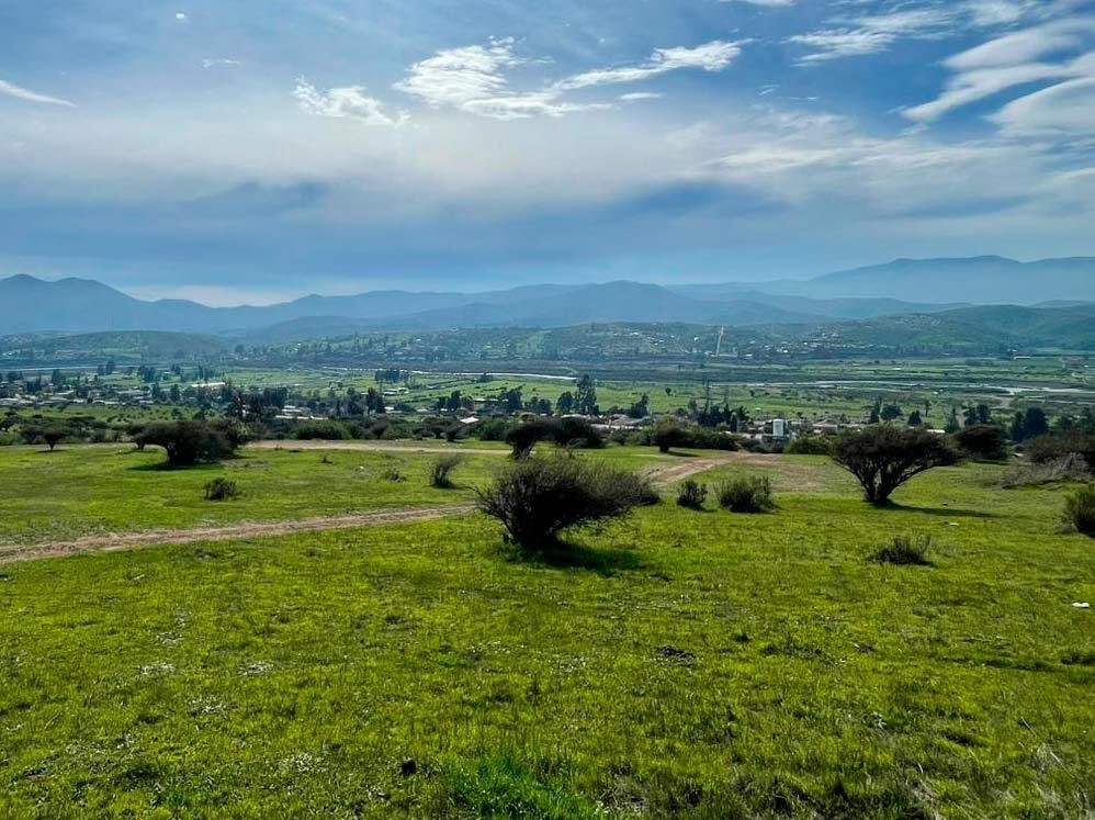 Altos de Limache